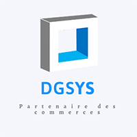 logo dgsys